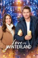 Watch Love in Winterland Tvmuse