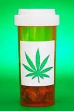 Watch Medicinal Cannabis and its Impact on Human Health Tvmuse