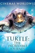 Watch Turtle The Incredible Journey Tvmuse