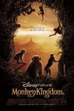 Watch Monkey Kingdom Tvmuse
