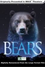 Watch Bears Tvmuse