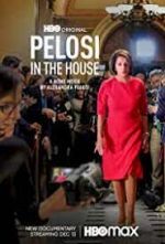 Watch Pelosi in the House Tvmuse