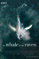 Watch The Whale and the Raven Tvmuse