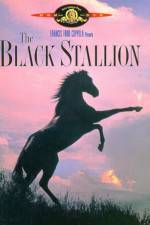 Watch The Black Stallion Tvmuse