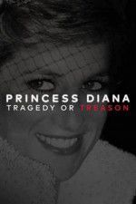 Watch Princess Diana: Tragedy or Treason? Tvmuse