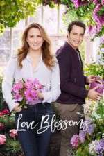 Watch Love Blossoms Tvmuse