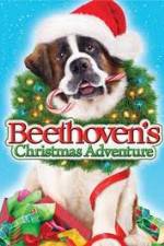 Watch Beethoven's Christmas Adventure Tvmuse