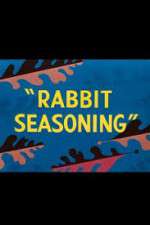 Watch Rabbit Seasoning Tvmuse