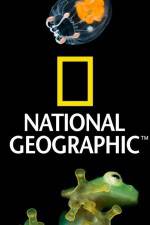 Watch National Geographic Wild Dam Beavers Tvmuse