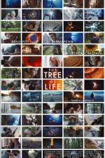 Watch The Tree of Life Tvmuse