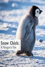 Watch Snow Chick: A Penguin's Tale Tvmuse