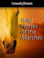 Watch Wild Horses of the Marshes Tvmuse