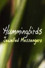 Watch Hummingbirds Jewelled Messengers Tvmuse