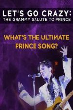 Watch Let\'s Go Crazy: The Grammy Salute to Prince Tvmuse