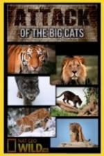 Watch National Geographic Attack Of The Big Cats Tvmuse
