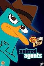 Watch Phineas And Ferb Animal Agents Tvmuse