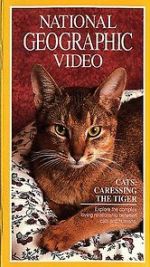 Watch Cats: Caressing the Tiger Tvmuse
