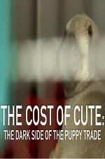 Watch The Cost of Cute: The Dark Side of the Puppy Trade Tvmuse
