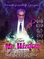 Watch The Mysterious Mr. Wizdom Tvmuse