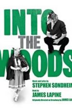 Watch Into the Woods Tvmuse