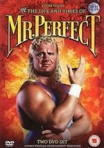 Watch The Life and Times of Mr. Perfect Tvmuse