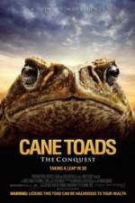 Watch Cane Toads The Conquest Tvmuse