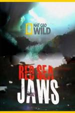 Watch National Geographic Red Sea Jaws Tvmuse