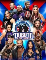 Watch WWE Tribute to the Troops Tvmuse