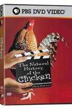 Watch The Natural History of the Chicken Tvmuse