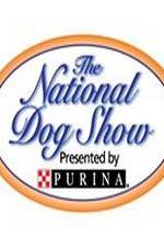 Watch National Dog Show Tvmuse