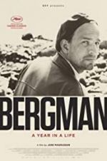 Watch Bergman: A Year in the Life Tvmuse