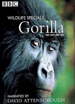 Watch Gorilla Revisited with David Attenborough Tvmuse
