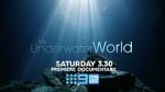 Watch My Underwater World (TV Special 2024) Tvmuse