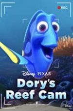 Watch Dory\'s Reef Cam Tvmuse