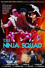 Watch The Ninja Squad Tvmuse