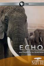 Watch Echo: An Elephant to Remember Tvmuse
