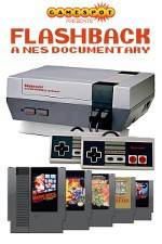 Watch Flashback NES Documentary Tvmuse