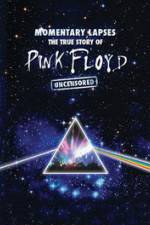 Watch Pink Floyd: Momentary Lapses - The True Story Of Pink Floyd Tvmuse