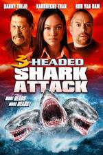 Watch 3 Headed Shark Attack Tvmuse