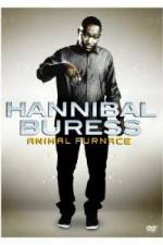 Watch Hannibal Buress Animal Furnace Tvmuse
