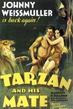 Watch Tarzan and His Mate Tvmuse