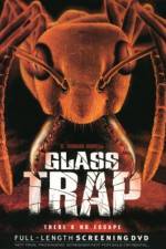 Watch Glass Trap Tvmuse