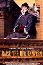 Watch Raise the Red Lantern Tvmuse