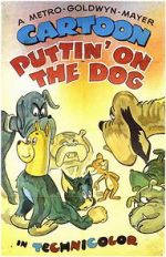 Watch Puttin\' on the Dog Tvmuse