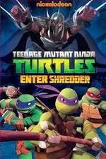 Watch Teenage Mutant Ninja Turtles: Enter Shredder Tvmuse
