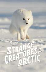 Watch Strange Creatures of the Arctic (TV Special 2022) Tvmuse