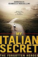 Watch My Italian Secret: The Forgotten Heroes Tvmuse