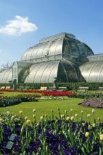 Watch Cruickshank on Kew: The Garden That Changed the World Tvmuse