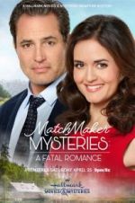 Watch Matchmaker Mysteries: A Fatal Romance Tvmuse