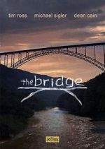 Watch The Bridge Tvmuse